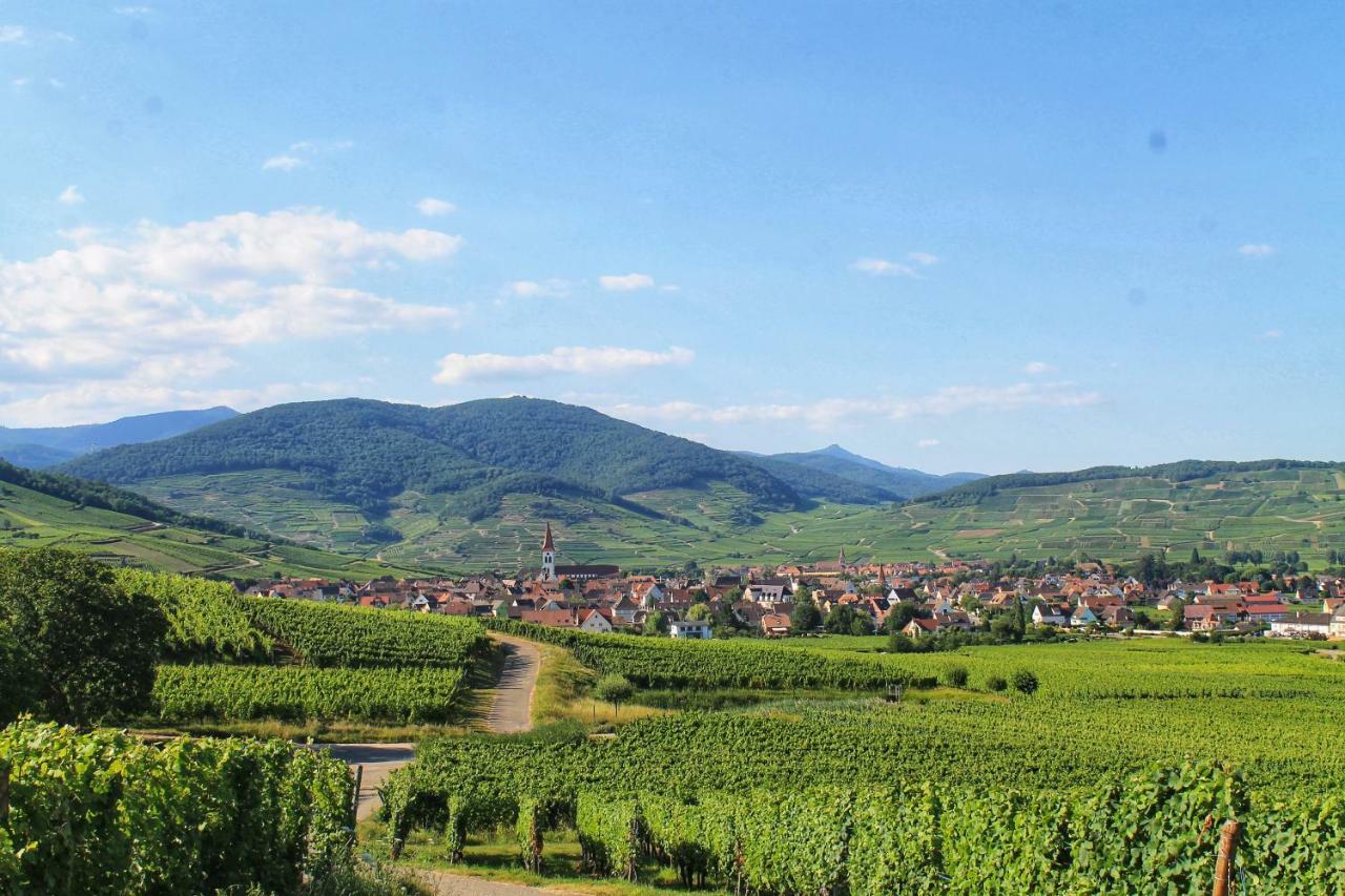 Aux 6 Hirondelles Ammerschwihr